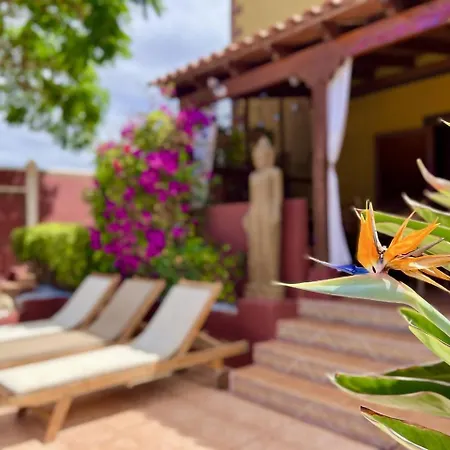 Zen Adeje - Piscina Privada Climatizada فيلة أذيخي
