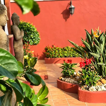 Zen - Tu Oasis En El Sur De Tenerife Villa Costa Adeje (Tenerife)