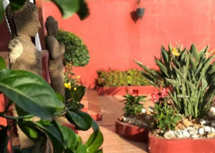 Zen Adeje - Piscina Privada Climatizada * Costa Adeje (Tenerife)